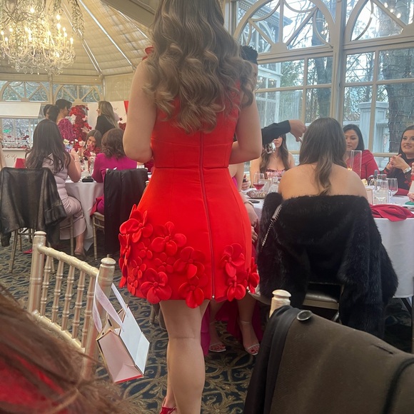 Bronx and Banco Red Floral Mini Dress - Picture 2 of 3